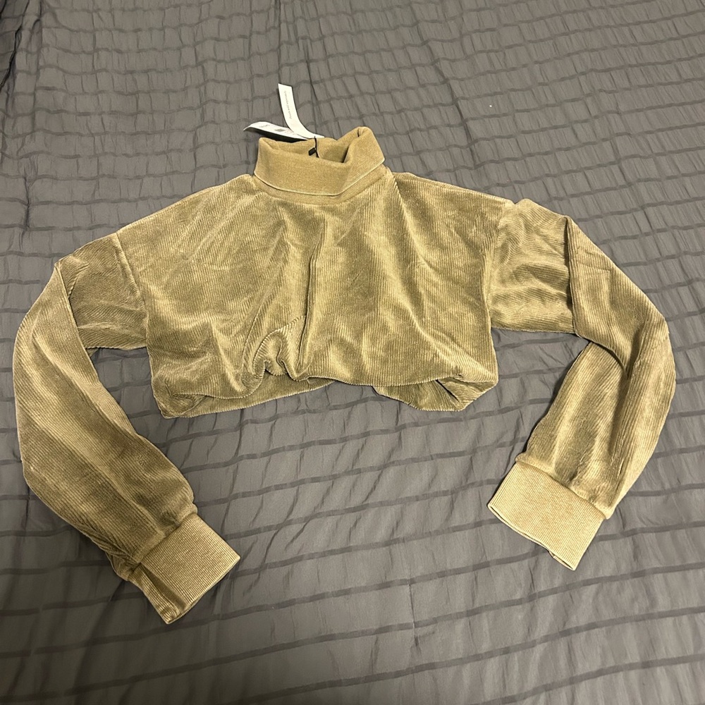 AKIRA Tan Velvet Crop Top